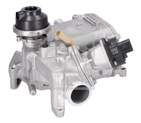 EGR Module